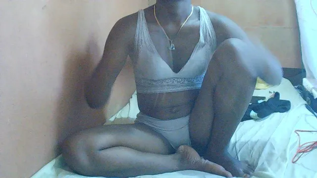 stelashow